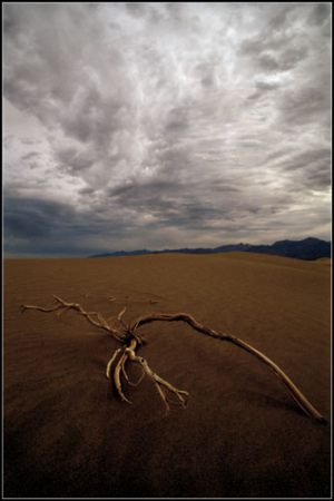 Morten Tolstrup - Death Valley