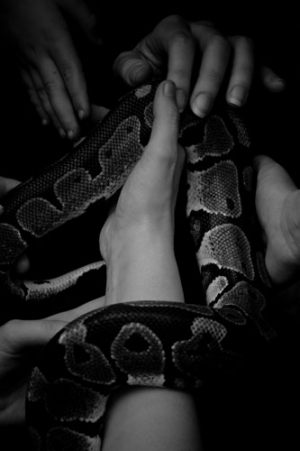 Shibo Yang	Mennesker og slange