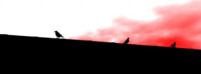 Fugle på rød baggrund af Bruno Japp