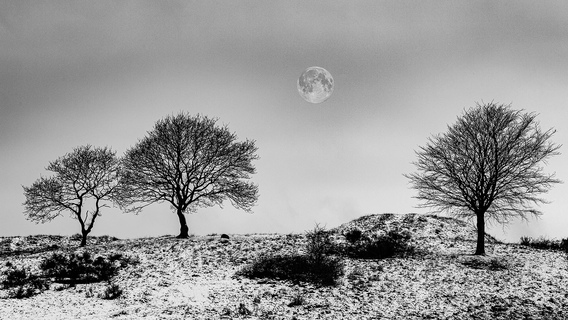The moon_by_Thomas_A_Christensen.jpg