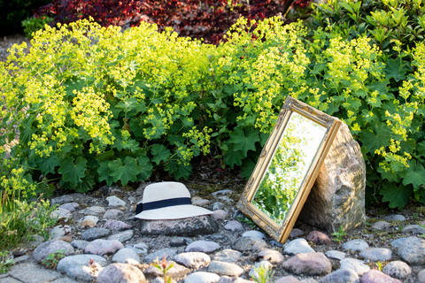 Lille spejl i haven der