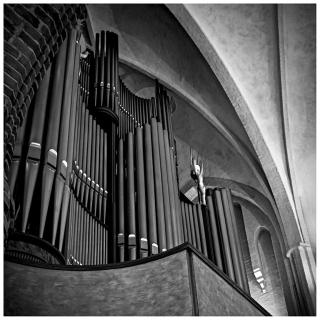 Orgelet i Halmstad kirke