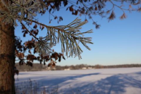 Vinterbild från Norra Skåne 20231212