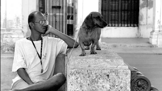 Mand med Hund - Havanna 